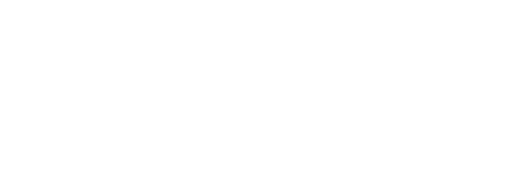 bds logo